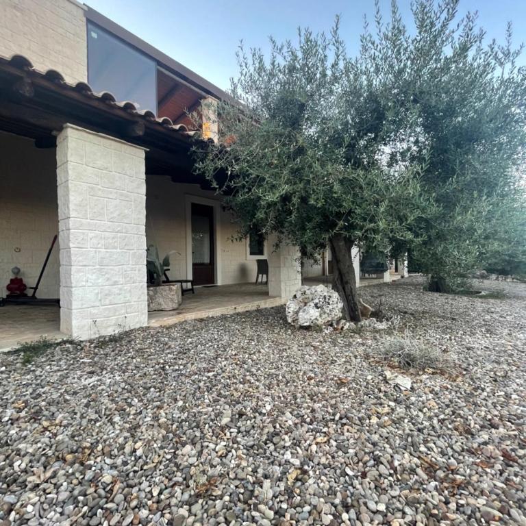 Masseria Pentima Vetrana Resort - Appartamento con 1 Camera da Letto con Vista - 8