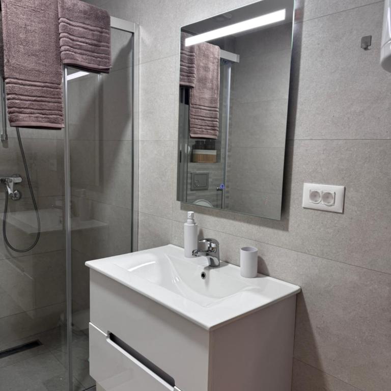 Studio Georgijev - Apartman sa 1 Spavaćom Sobom - 11