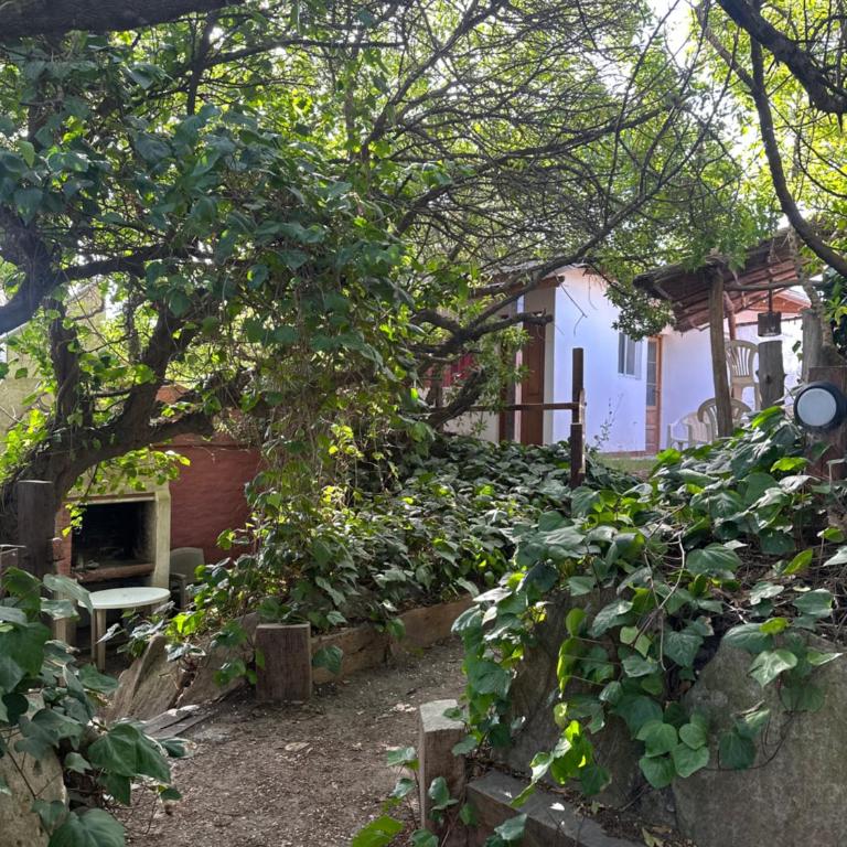 Puerto Sur - One-Bedroom House - 8