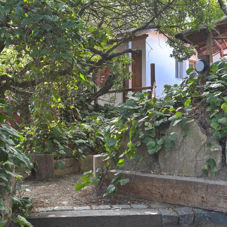 Puerto Sur - One-Bedroom House - 9