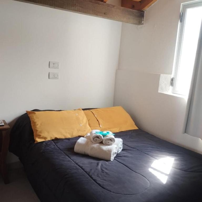 Puerto Sur - One-Bedroom House - 10