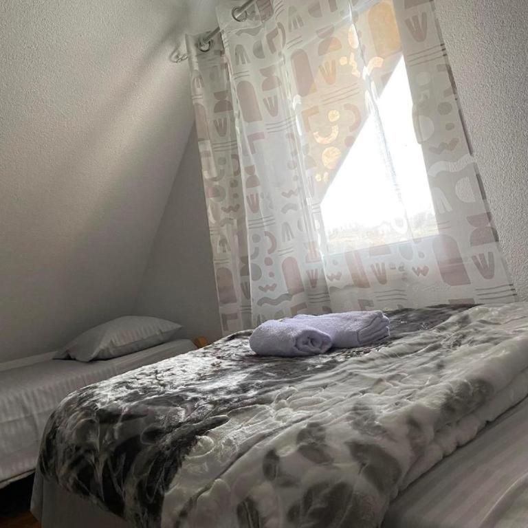 Durmitor Bella - One-Bedroom Apartment - 15