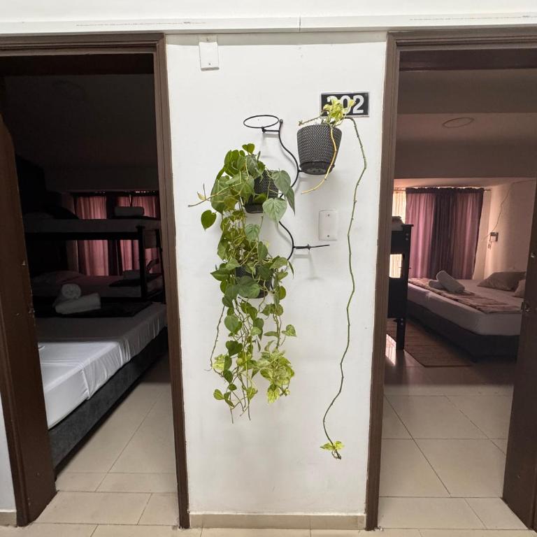 Hotel Torre Ejecutiva Pereira - Habitación Triple Confort - 17