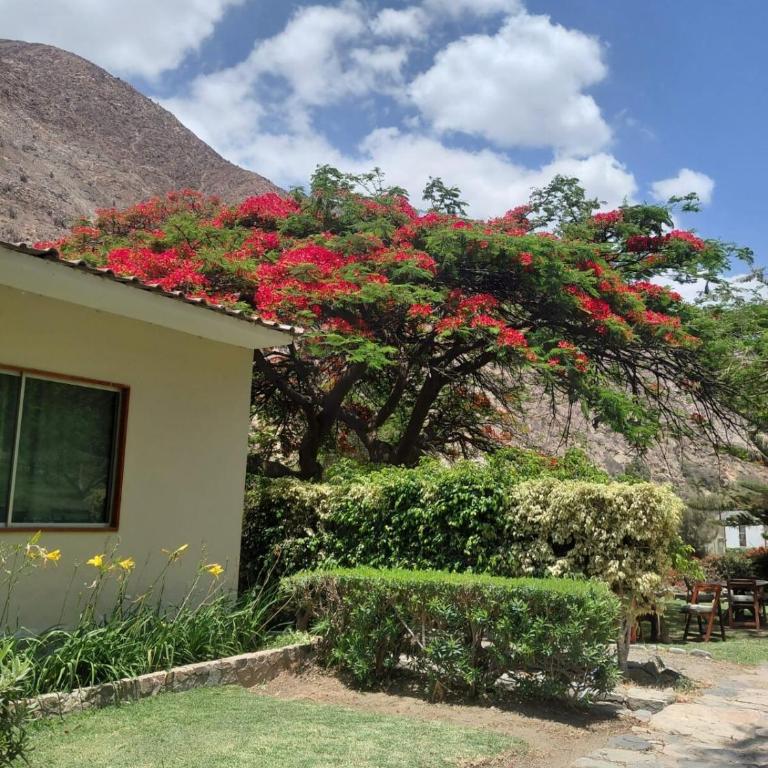 Casa de Campo en Santa Rosa de Quivez - One-Bedroom House - 4