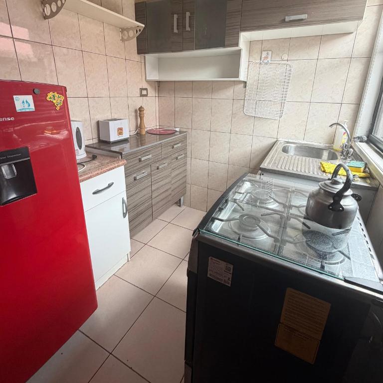 Apartamento Coyhaique - Two-Bedroom Apartment - 3