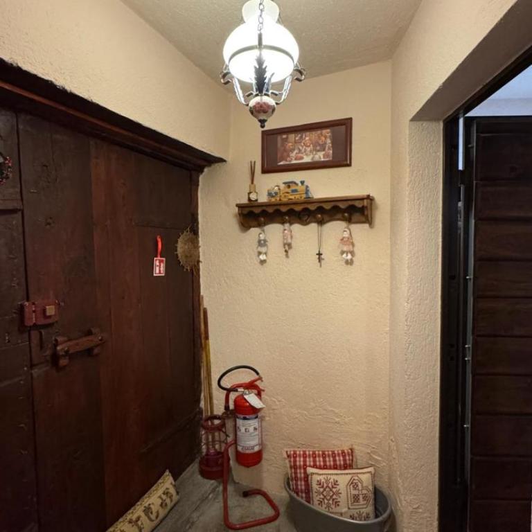 BARDONECCHIA SCI E RELAX - Chalet - 15