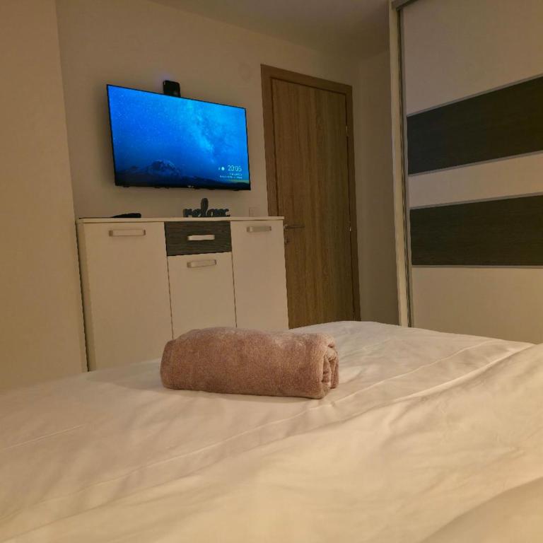 LUX Apartman Tara Pale Jahorina - Two-Bedroom Apartment - 5