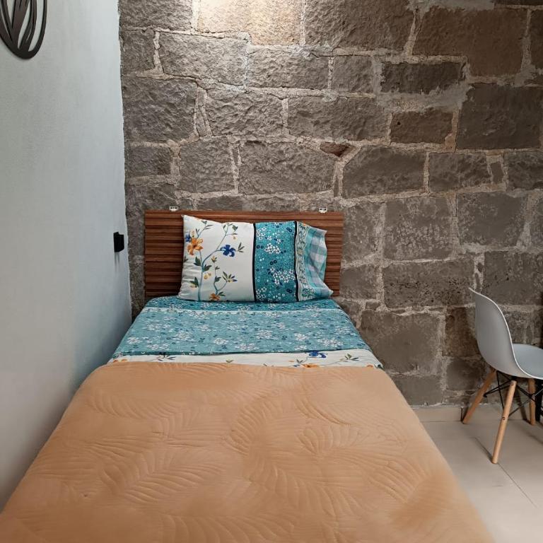 Villa Calma Hermoso espacio en la tranquilidad del Campo Huimilpan - Family Room with Private Bathroom - 12