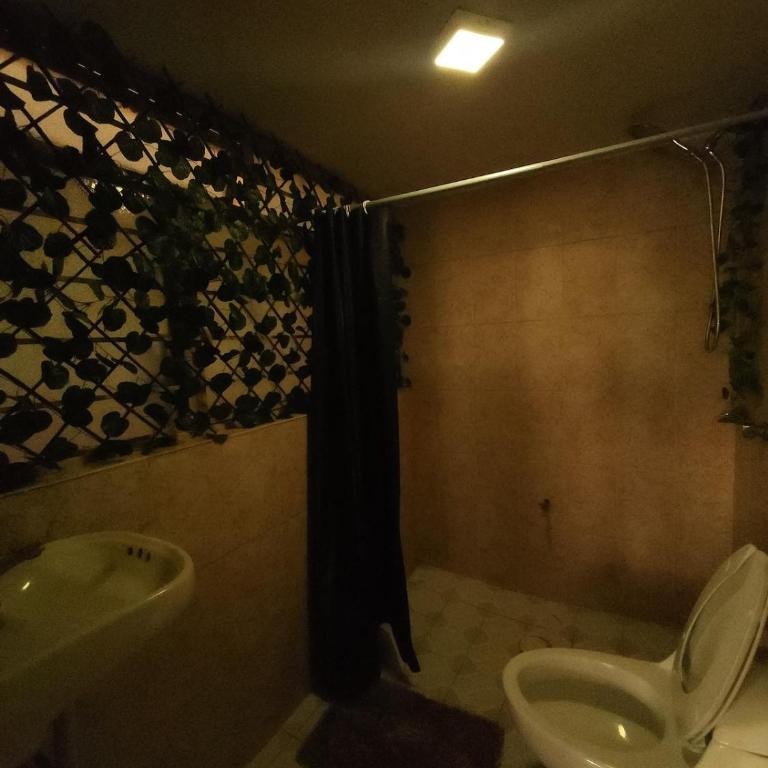 Entire Space in Downtown Oaxaca Comfortable - Apartamento de 2 dormitorios - 4