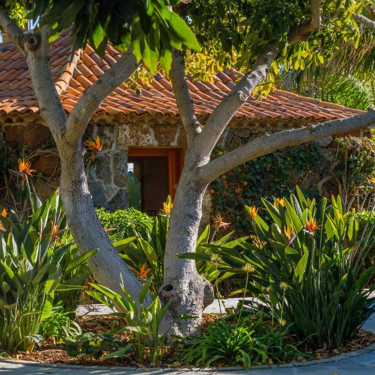 Villa Serenitas - Villa - 90