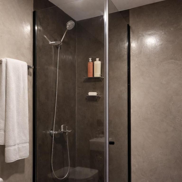 BA Millenium - Habitación Estándar - 1 cama grande - 4