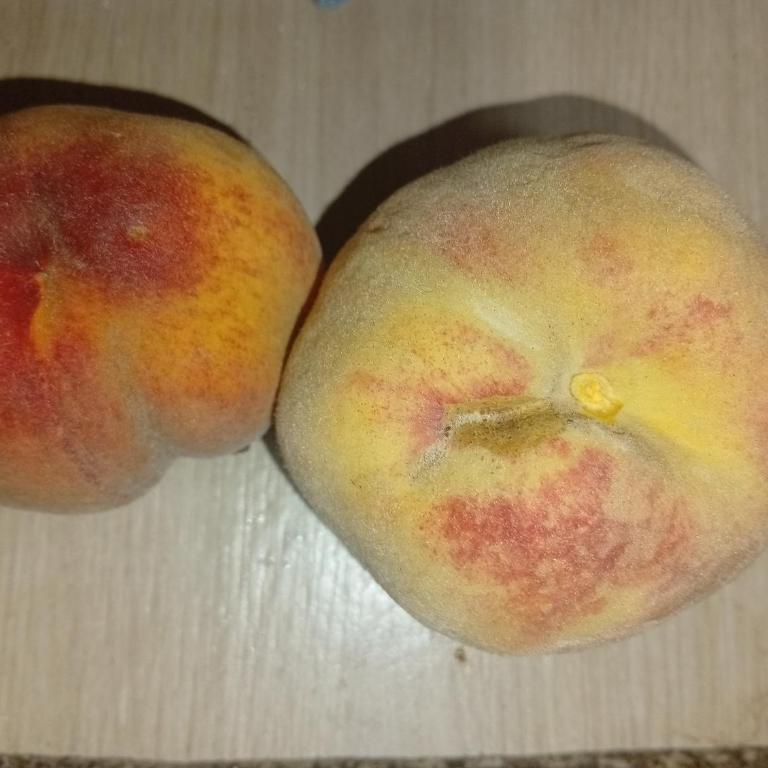 Casa Prana - Habitación Doble - 20