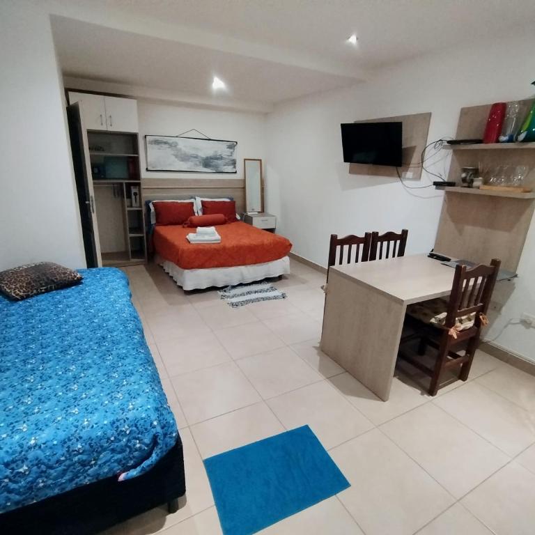 Refugio Sureño departamento completo centrico wifi - Apartamento de 1 dormitorio - 3