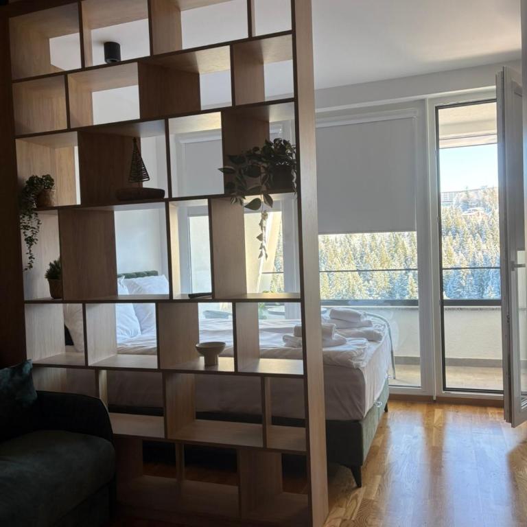 Privatni apartman A37 u sklopu hotela Vucko Jahorina - One-Bedroom Apartment - 7