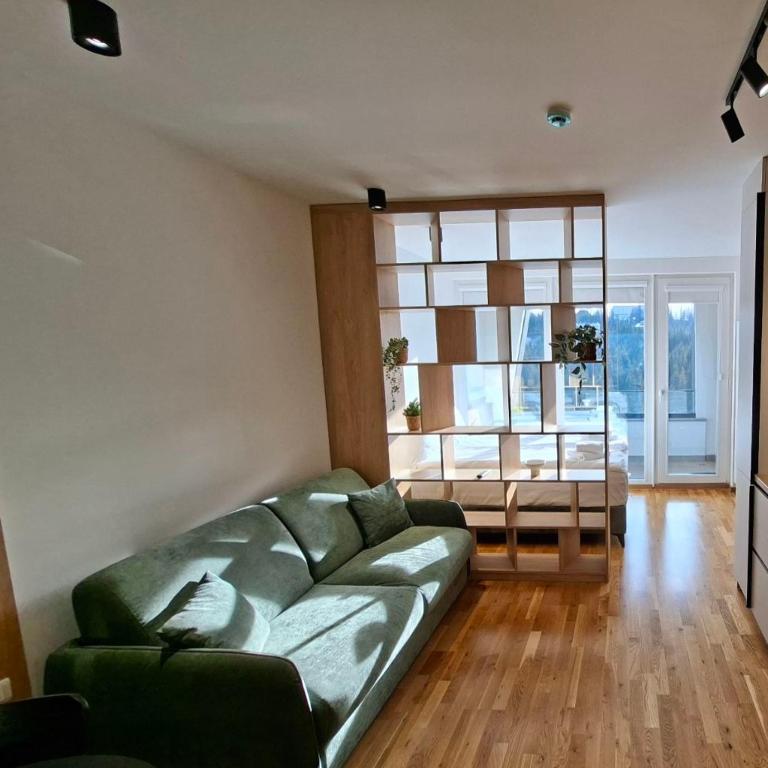 Privatni apartman A37 u sklopu hotela Vucko Jahorina - One-Bedroom Apartment - 5