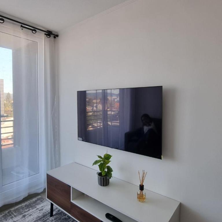 Cozy apartment in downtown Valdivia - One-Bedroom Apartment - 4