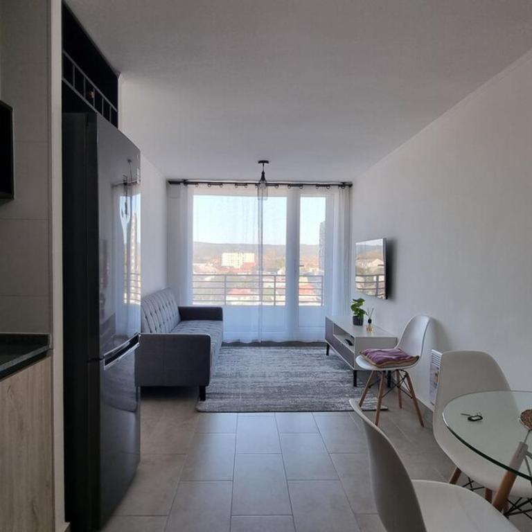 Cozy apartment in downtown Valdivia - One-Bedroom Apartment - 3