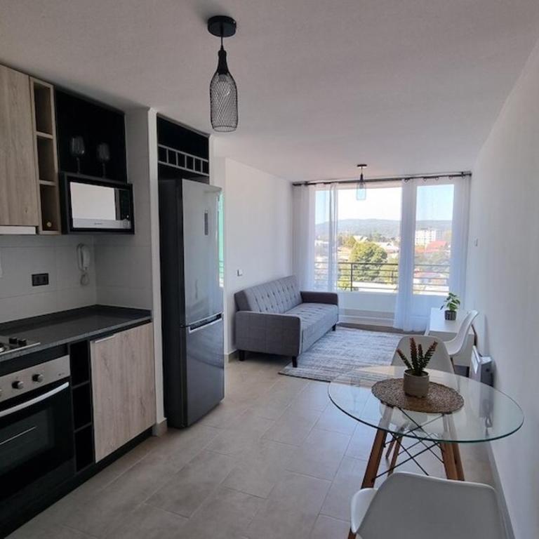 Cozy apartment in downtown Valdivia - One-Bedroom Apartment - 2