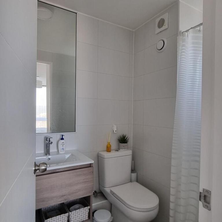 Cozy apartment in downtown Valdivia - One-Bedroom Apartment - 12