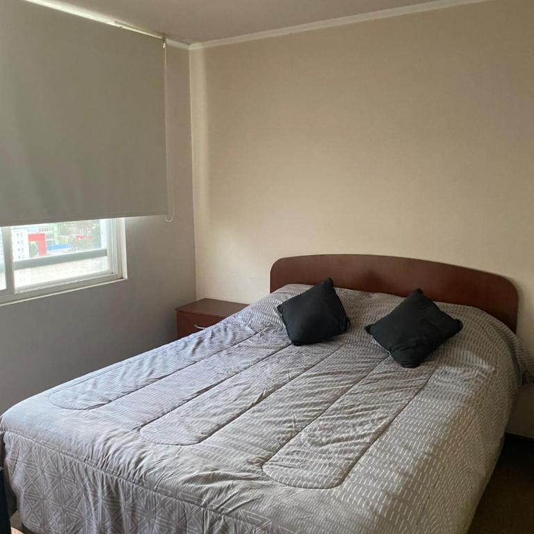 Viña del mar a pasos del Terminal, 3 personas - One-Bedroom Apartment - 5