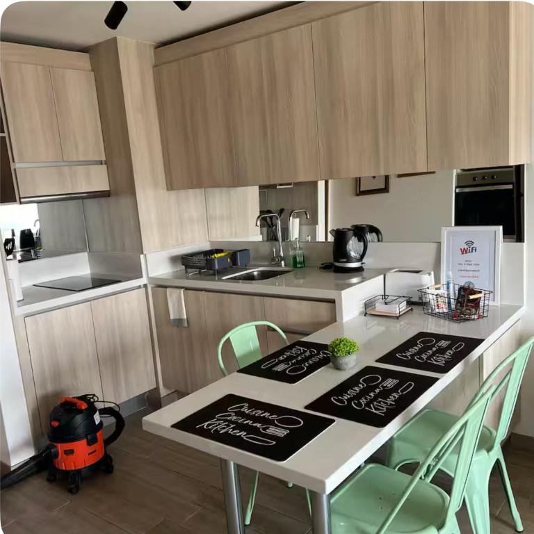 Moderno departamento en pleno centro de Temuco - One-Bedroom Apartment - 6