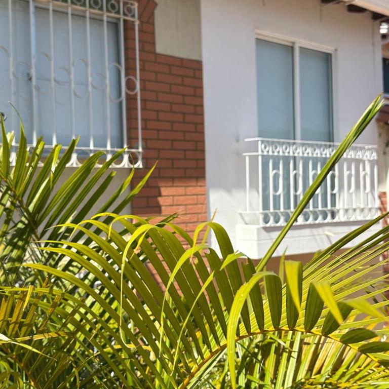 La Casa del Conde - Casa - 51