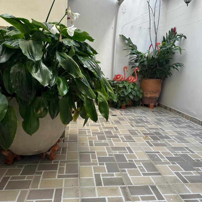 La Casa del Conde - Casa - 39