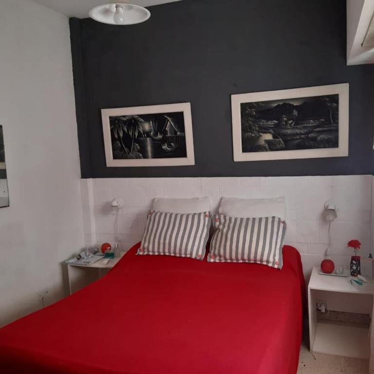 Marbella 1 - Apartamento de 1 dormitorio - 1