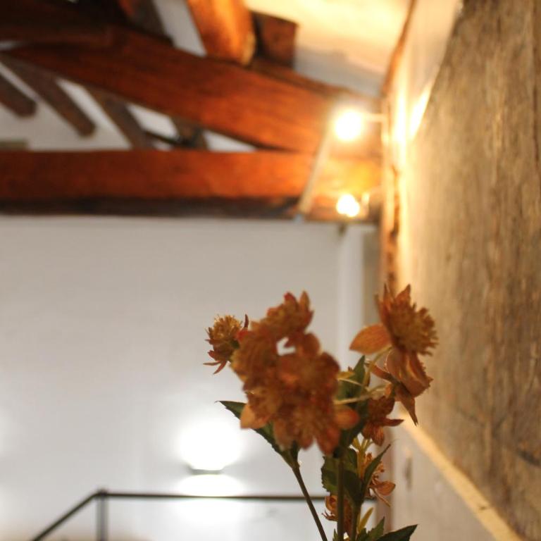 Speciale Apartment - Appartamento con 1 Camera da Letto - 19