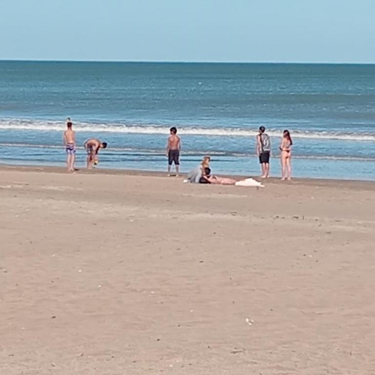 Gesell mar y bosque - Apartment - 1