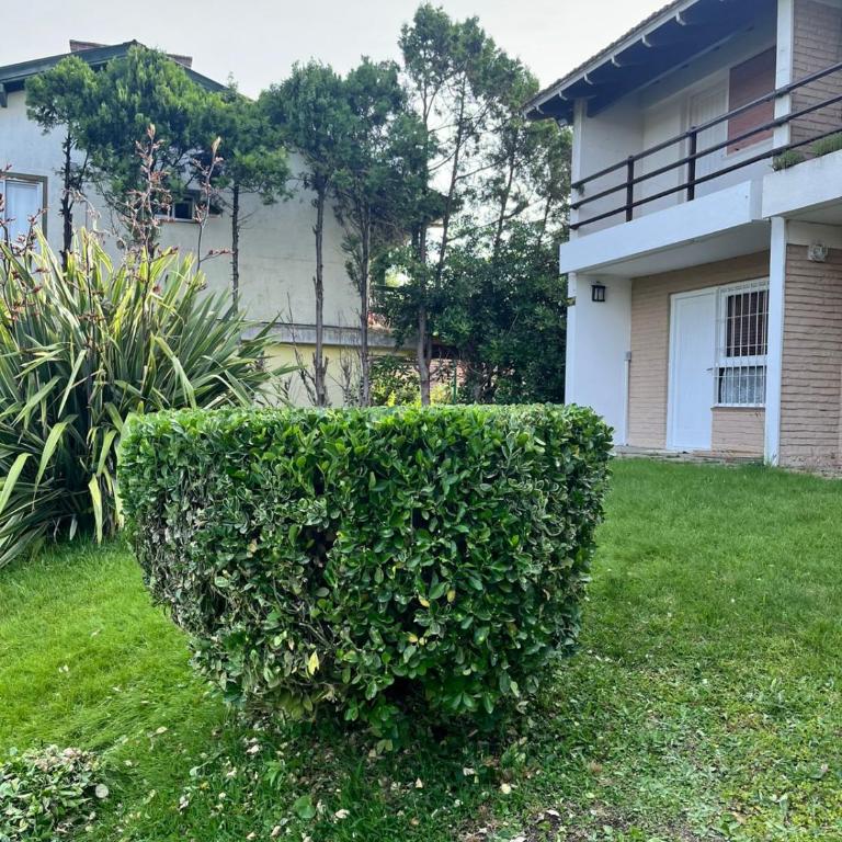 Gesell mar y bosque - Apartment - 4