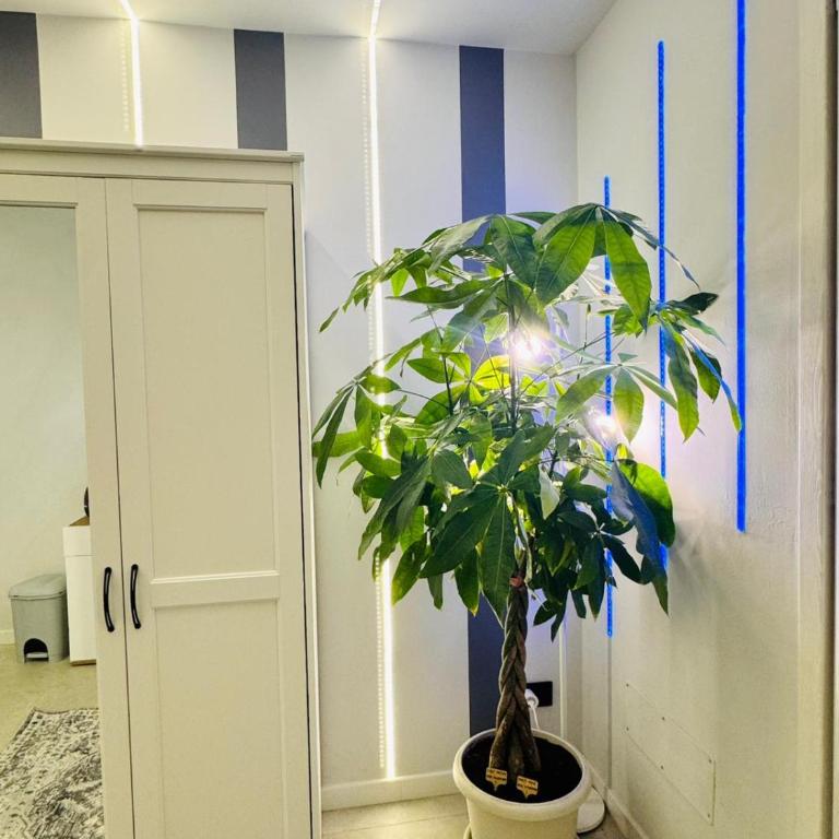 Moonlight Apartment - One-Bedroom House - 25