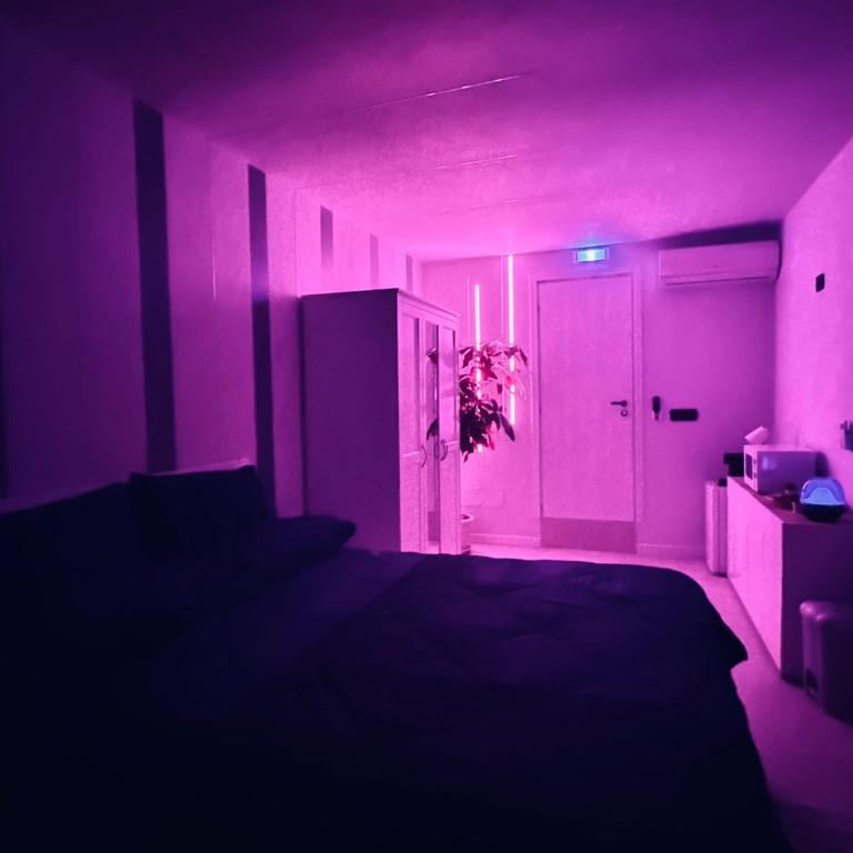 Moonlight Apartment - One-Bedroom House - 13
