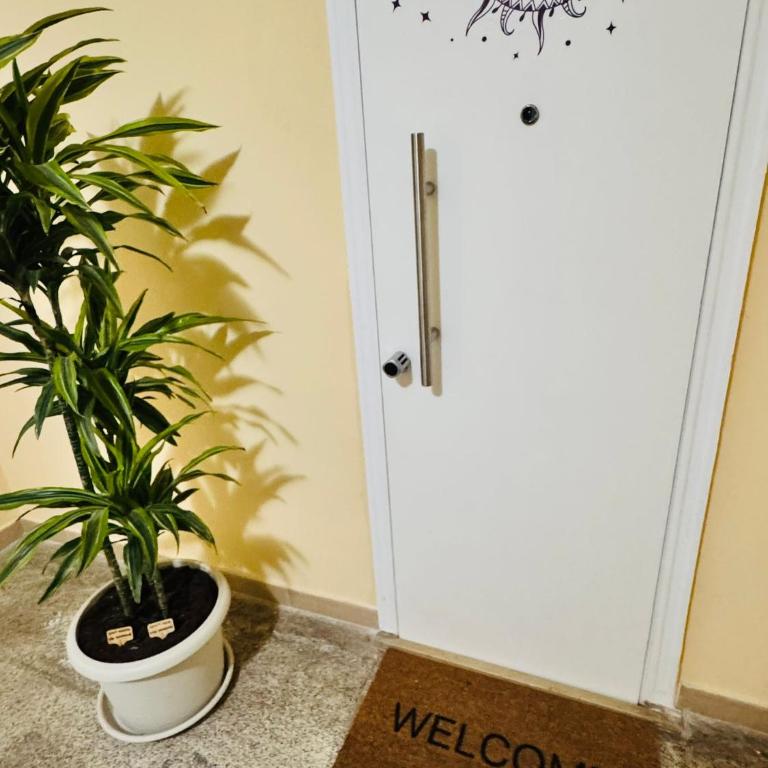 Moonlight Apartment - One-Bedroom House - 4