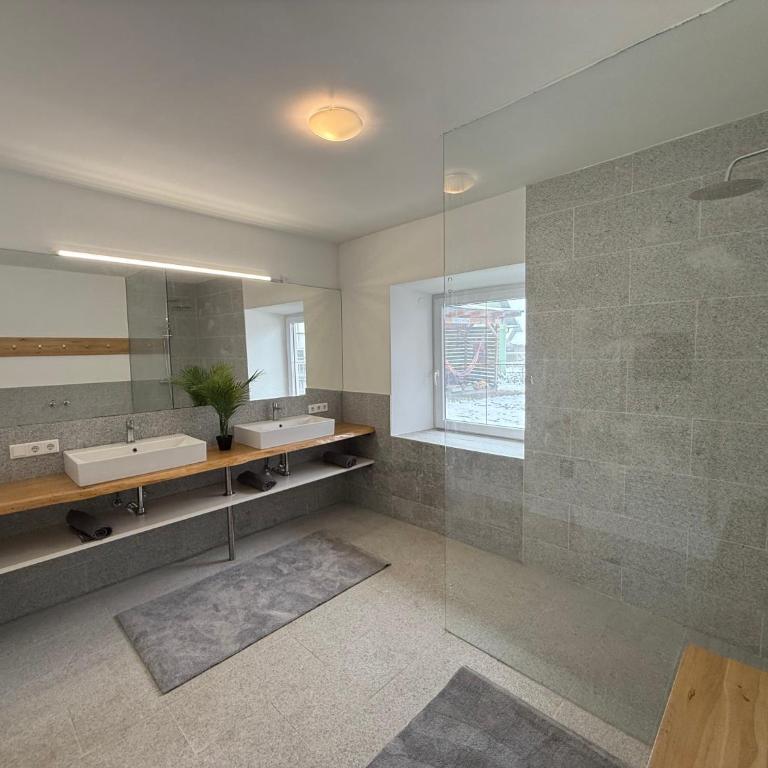 FriedlHof Kärnten Ferienwohnungen für bis zu 10 Personen - Apartment mit 2 Schlafzimmern und Terrasse - 3