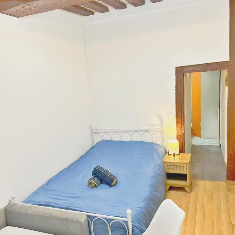 Paris Centre Chatelet Les halles - One-Bedroom Apartment - 1