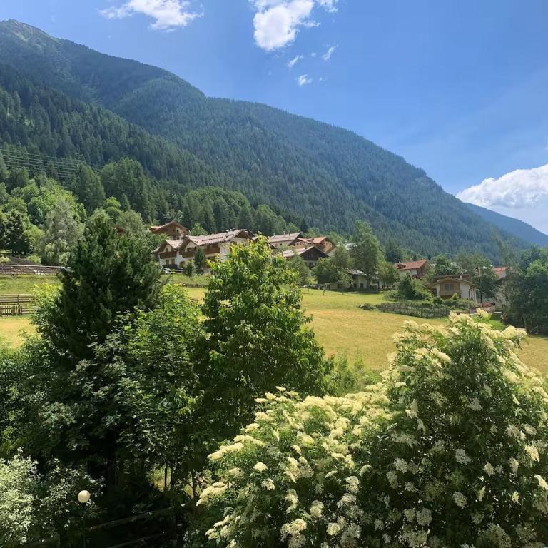 Casa Green - Cogolo di Peio - Val di Sole - Apartamento de 3 dormitorios - 18