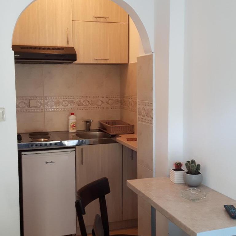 Spasic Apartment - Studio Apartment - Ground Floor - 3