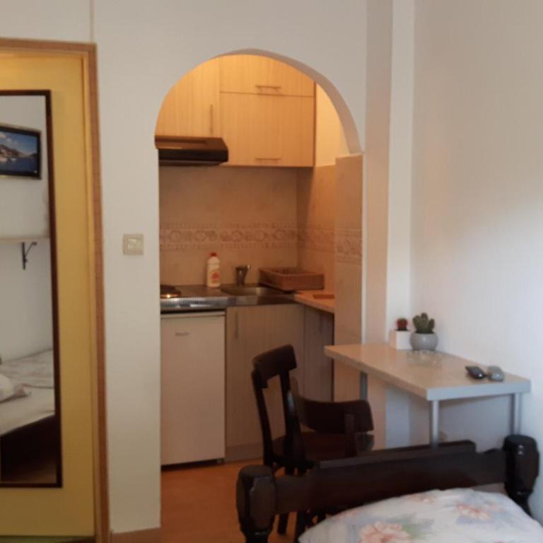 Spasic Apartment - Studio Apartment - Ground Floor - 4