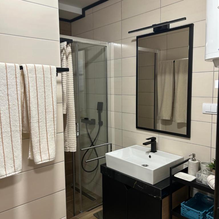 Apartman Nikolic 418 - One-Bedroom Apartment - 2