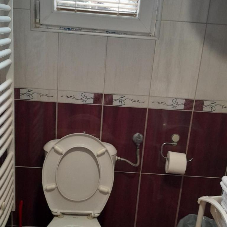 Apartmani Aleksijević Zlatibor - Porodični Studio - 12