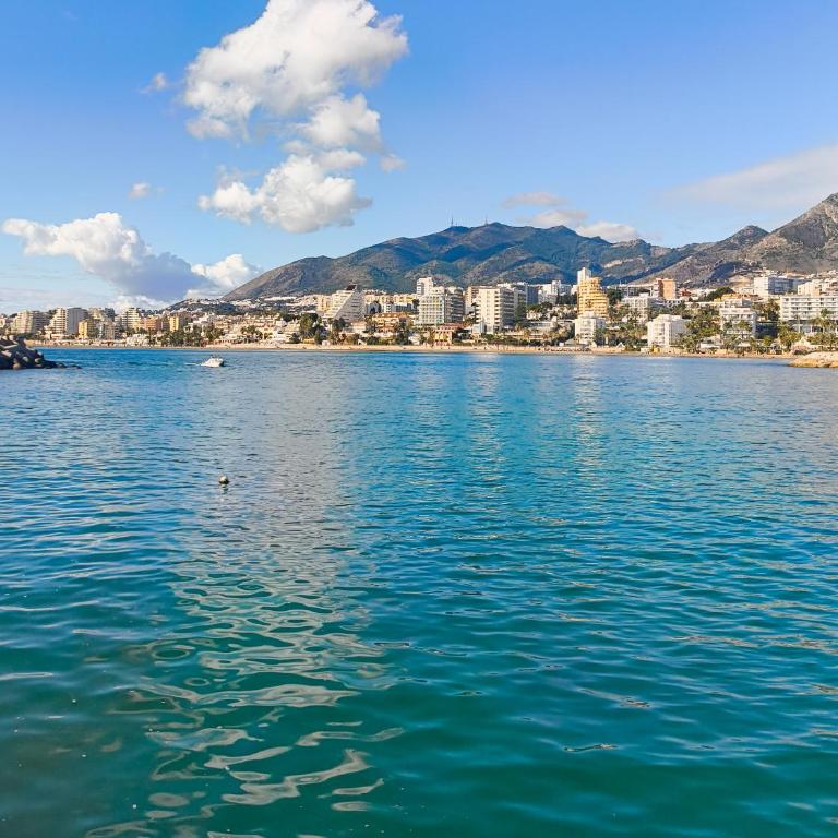 B&F Paloma - Apartamento de 1 dormitorio - 17