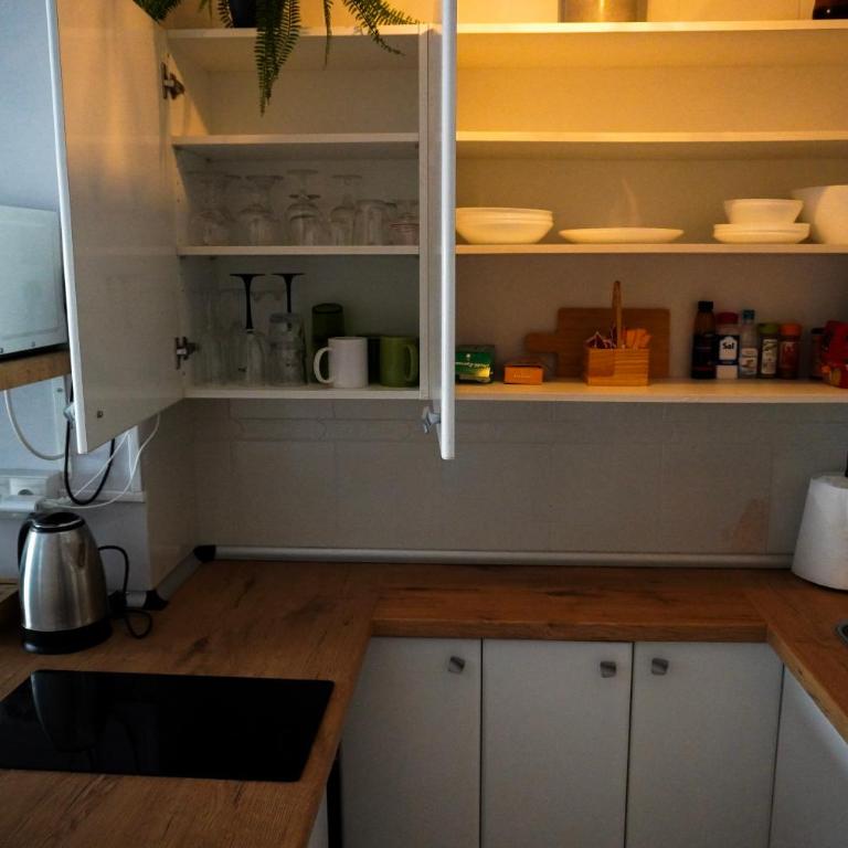 B&F Paloma - Apartamento de 1 dormitorio - 13