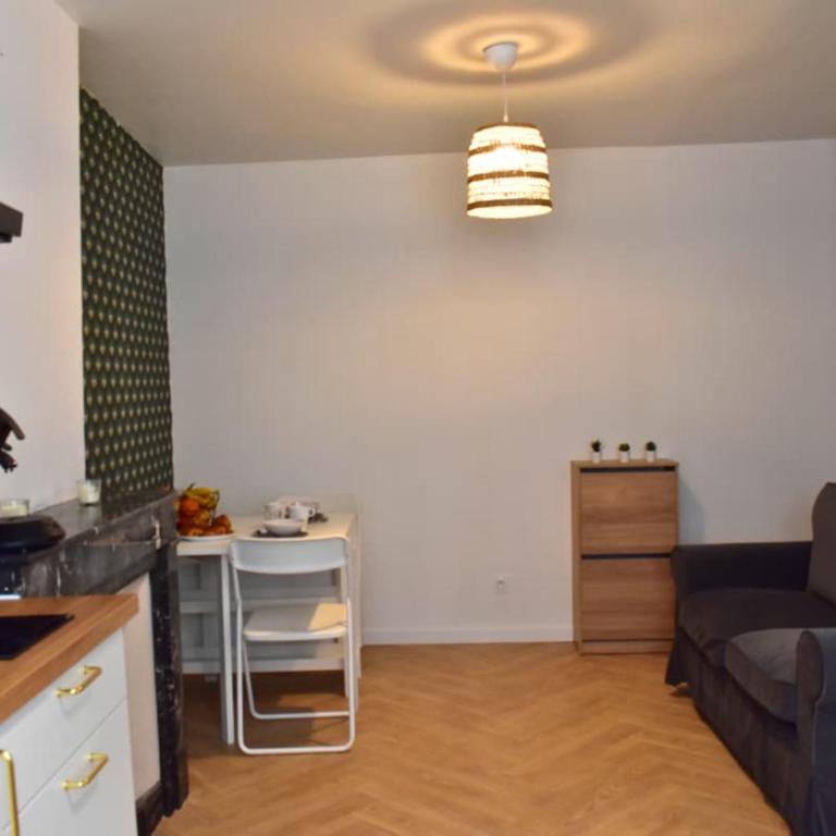 Le Camélinat T2 centre ville Proche stade et parc expo - One-Bedroom Apartment - 3
