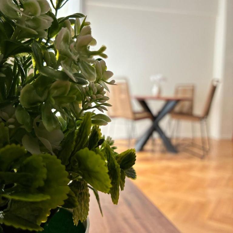 Departamento en Belgrano - Apartamento de 1 dormitorio - 13
