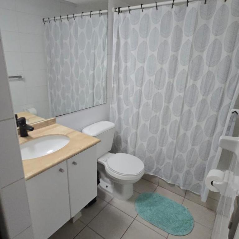 Departamento Alameda Lastarria - One-Bedroom Apartment - 5