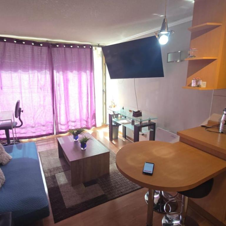 Departamento Alameda Lastarria - One-Bedroom Apartment - 6