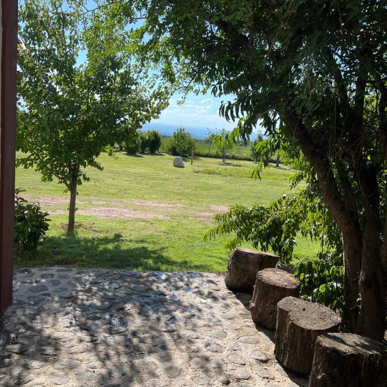 Cobiche - One-Bedroom House - 2