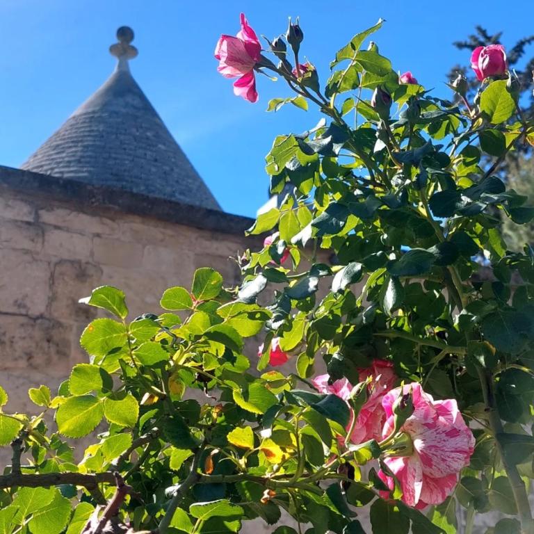 Il trullo delle rose - Casa con 3 Camere da Letto - 1