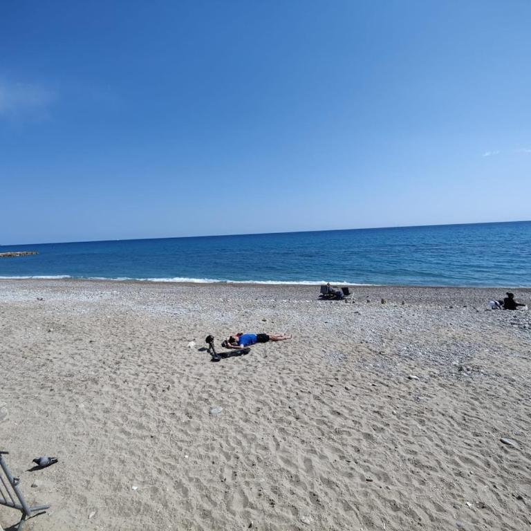 Le COQ Livieri - WiFi - Seafront - town centre - Apartamento de 1 dormitorio - 11